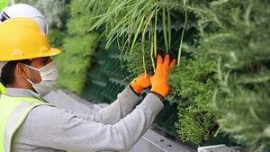 โมดูลสวนแนวตั้งแบบรดน้ำเองได้ เป็นมิตรกับสิ่งแวดล้อม ทนทาน ติดผนังได้ ใช้ได้ทั้งภายในและภายนอกอาคาร ระบบผนังสีเขียว - Product Image 3