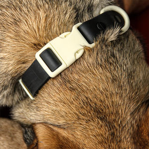 Luxuriöses und modisches Hundehalsband mit Leine aus PVC in angesagten Farben, wasserdicht, mit eigenem Logo und farblich passender Schnalle – Beliebt und im Angebot - Product Image 5