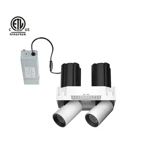 Shen Zhen-luz descendente LED gemelos, iluminación de día, CA de 120V, 220V, hecho en China, luces Strech <span class=keywords><strong>Spot</strong></span> Down, 0-10V Dim - Product Image 1