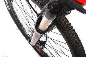 Scooters électriques tricycles électriques ebike vélo cargo électrique vélo électrique <span class=keywords><strong>lopifit</strong></span> vélo vélo de montagne vélo électrique - Product Image 4