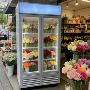 2 Door Vertical Floral Display Cabinet Fan Cooled Fresh Flower Display Refrigerator Cabinet - Product Image 2