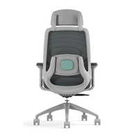Le soutien lombaire de système de chauffage infrarouge résistant tournent la chaise de bureau avec le massage