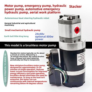 Bomba de motor sin escobillas 24V 48V para transpaleta, dirección de vehículos, emergencia, vehículos de gran altitud, modelo 10100-001, alta eficiencia I - Product Image 4