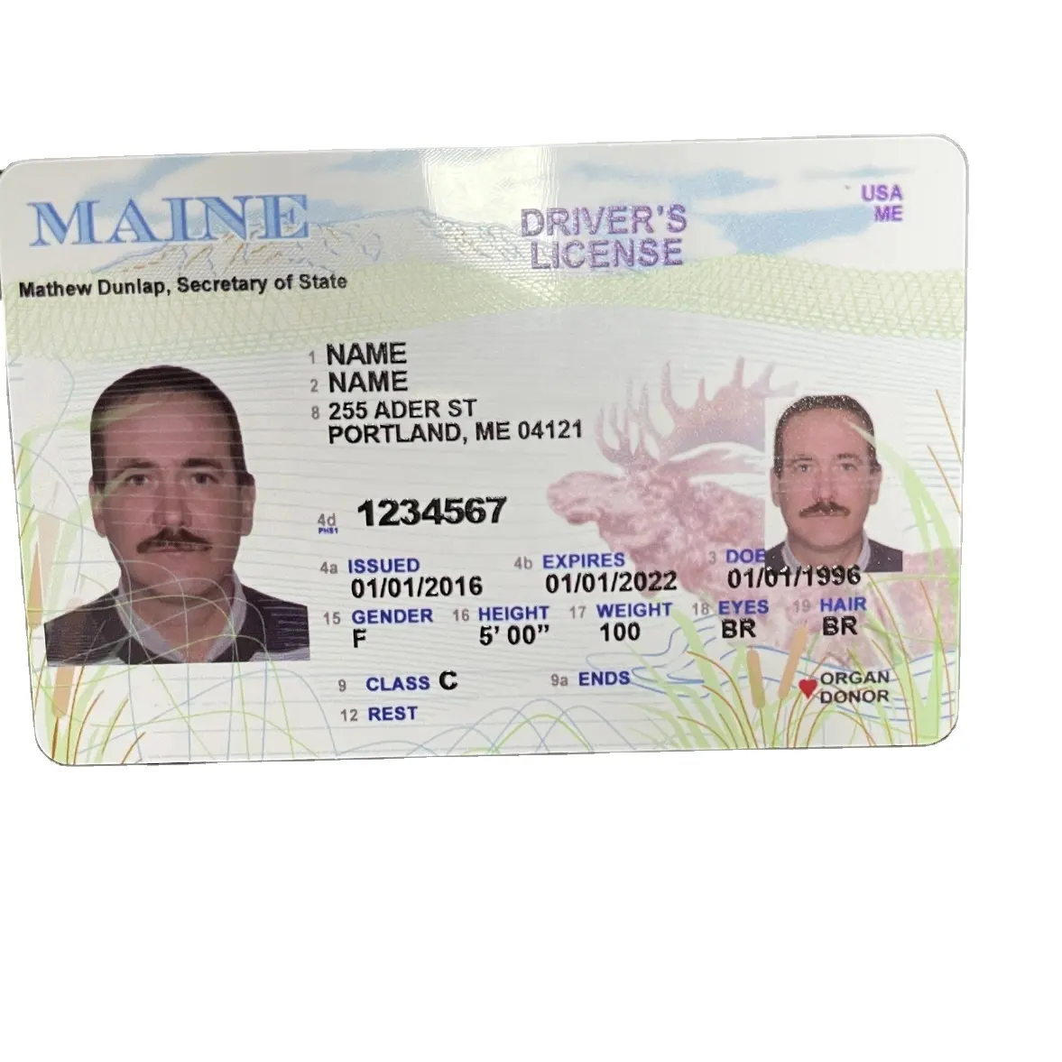 Máy In Phun UV Máy In Thẻ Id PVC A4