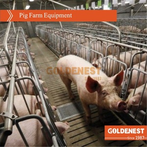 Vendita gabbia per animali, attrezzatura per allevamento di suini, piccola scatola di maiale - Product Image 3