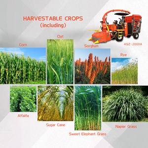 Moissonneuse-broyeuse d'ensilage de maïs et de tiges de <span class=keywords><strong>coton</strong></span> Senrui 2020mm, robuste et stable, en stock - Product Image 6