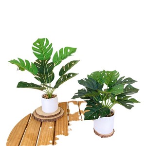 Plantes artificielles Monstera Fuyuji, petites plantes en pot, décoration intérieure, arrangement de table, verdure, ornement de bureau à domicile - Product Image 5