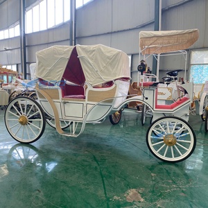 Carruaje Turístico Eléctrico de Lujo para Bodas en Victoria, Vehículos Nuevos de Henan - Product Image 4