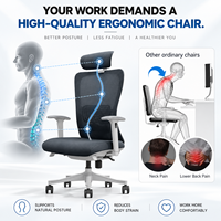 Vaseat SK5-GH Nouveautés Guangdong Chaise de bureau ergonomique confortable entièrement en maille avec cadre métallique Sillas De Oficina