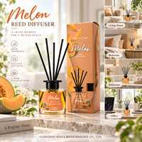 Luxueuze geurverspreiderset van 120 ml met exclusieve verpakking voor merkbezitters en importeurs