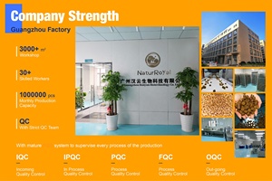 OEM/ODM kustom suplemen hewan peliharaan nutrisi alergi Drop kekebalan tubuh untuk anjing dan kucing dengan l-lisin Astragalus akar suplemen kesehatan - Product Image 6