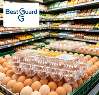 Barquette à œufs en plastique transparent de qualité alimentaire, personnalisable, résistante aux chocs, avec cavités sur mesure, emballage jetable en blister