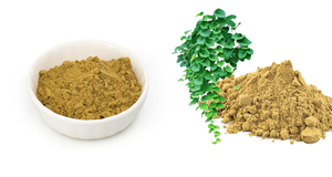 Nhà máy nóng bán Halal hplc cấp thực phẩm chiết xuất thảo dược Ivy Leaf (hederacosides C) tan trong nước ho Syrup bột - Product Image 2