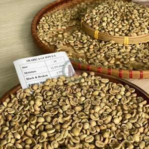 เมล็ดกาแฟอาราบิก้าโรบัสต้าออร์แกนิกบริสุทธิ์100เปอร์เซ็นต์สำหรับการคั่วและเครื่องดื่มเวียดนามคุณภาพสูง - Product Image 5