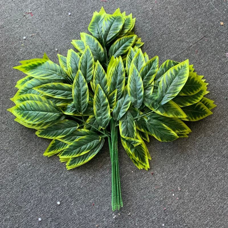 สีเขียว