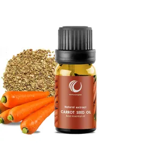 Prix de gros Pure Organic Cold Pressed Carrot Seed Oil Essential Carrot Moisturizer pour la croissance de la peau, du visage et des cheveux
