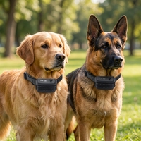 2 Hunde 2 Halsbänder Unterirdisches Elektrisches Begrenzungszaun-System Schock-Halsband-System Wasserdichter Wiederaufladbarer Empfänger 100 Intensitätsstufen