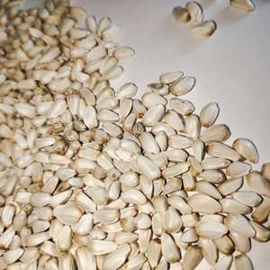 بذور العصفر بالجملة لتغذية الحيوانات - Product Image 6