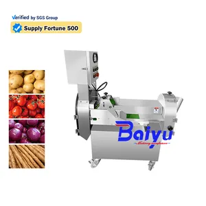 Baiyu multifonctionnel oignon vert hachoir à légumes nouvelle pomme de terre fruits coupe-légumes composants de base moteur et moteur