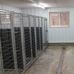 Fabrika toptan özelleştirmek paslanmaz çelik Walk-in kafes sistemi büyük köpek kulübesi çalışır - Product Image 3