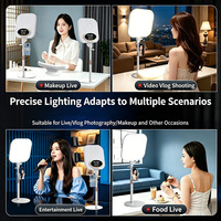 Lampe de bureau carrée à LED pour éclairage d'appoint, lumière douce pour diffusion en direct avec support de téléphone, pour enregistrement vidéo beauté, maquillage et photographie