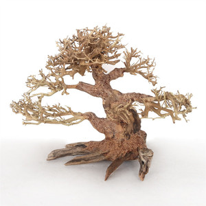 Cây cảnh <span class=keywords><strong>bonsai</strong></span> gỗ lũa trong bể cá lớn - Product Image 2