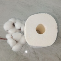 Papier toilette biodégradable en pâte de bois vierge 2 plis, doux, à prix bas, fabriqué en Chine, sans danger pour les fosses septiques