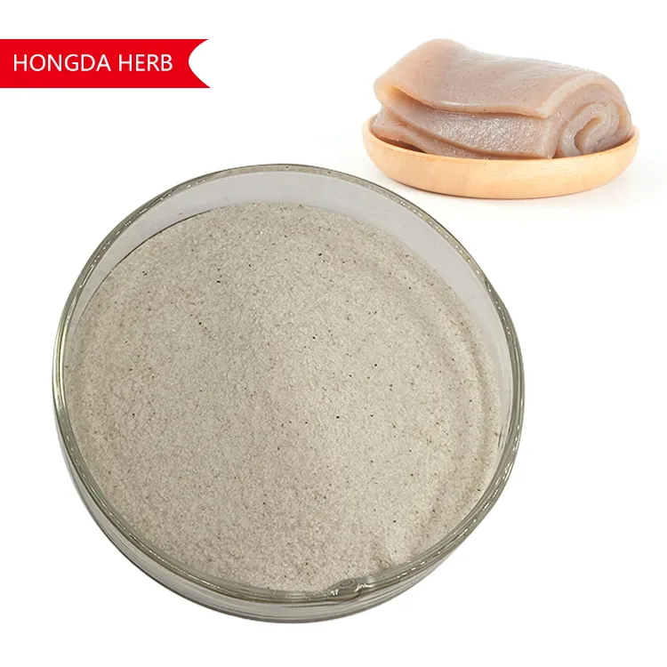 HONGDA Fornecimento de fábrica Konjac orgânico em pó Glucomannan Konjac Glucomannan em pó