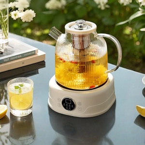 Bouilloire Électrique Multifonction en Verre pour la Santé, Température Constante, Infuseur à Thé, <span class=keywords><strong>Chauffe</strong></span>-<span class=keywords><strong>Eau</strong></span> pour Maison et Bureau, Prise EU/US - Product Image 2
