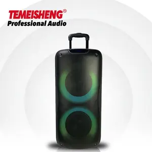 Temeisheng Y-829 100Wメガbsssサブウーファーカラオケスピーカートロリー付き強力なサウンドLEDライトBTTwsワイヤレススピーカー付き