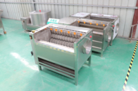 Acheter une machine à laver et à peler le curcuma et le gingembre Acheter une machine à laver et à peler le curcuma et le gingembre Brosse à radis Machine de nettoyage