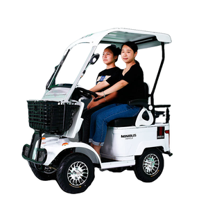 Minibús de 1 Plaza E20 de Baja Velocidad, Nuevo Diseño 2025, Personalizable para Diversas Ubicaciones - Product Image 1