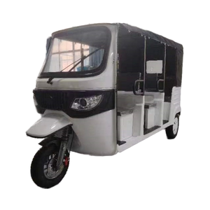 EEC COC Open Auto risciò 1000W potenza 60V batteria elettrica eco-friendly 3 ruote triciclo motorizzato per passeggeri - Product Image 2