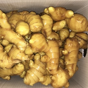 Cina Anqiu/Laiwu zenzero fresco 200g Jordan - Product Image 4