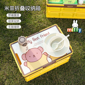 Boîte de rangement pliable pour voiture Miffy, en plastique, hauteur 24 cm, pliable pour les organisateurs de coffre - Product Image 5