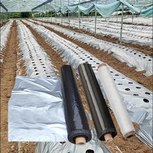 Film de paillage noir argenté résistant aux UV, réfléchissant, anti-insectes, pour la suppression des mauvaises herbes - Product Image 3