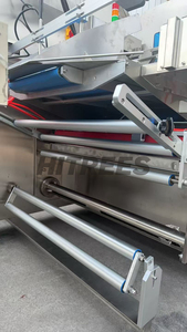 Máquina de Envasado al Vacío Horizontal de Grado Alimenticio para Zonas Sanitarias de Fábricas de Lácteos - Product Image 2