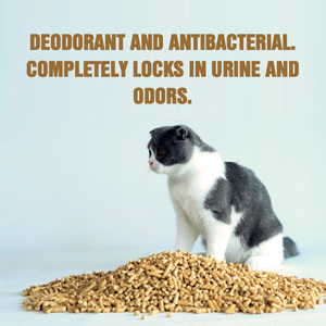 Natural Eco-Friendly Pine Wood Pellet <b>Cat</b> <b>Litter</b>, Dust-Free Strong Clumping Odor Control Wood <b>Cat</b> Sand Bulk Supply - Product Image 5