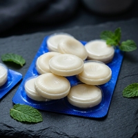 Bonbons durs à la menthe croquants et fruités, personnalisés en gros, pour une haleine fraîche, emballés individuellement en boîte