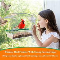 Comedero para Pájaros de Plástico Transparente Grande para Exteriores con Diseño de Ventana y Fuerte Ventosa para Loros