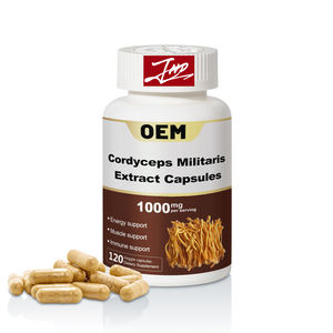 OEM özel etiket <span class=keywords><strong>500mg</strong></span> organik <span class=keywords><strong>Cordyceps</strong></span> Militaris özü kapsül - Product Image 1
