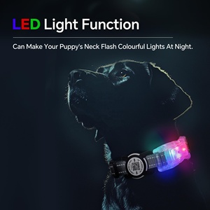 Hundehalsband im europäischen Stil mit LED-Licht & QR-Code |   Elegantes Spitzendesign |   Großhandel Maßanfertigung - Product Image 6