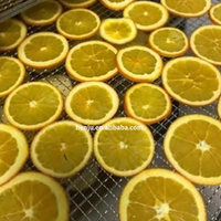 32-laags fruit-, groente- en vleesdroger van roestvrij staal