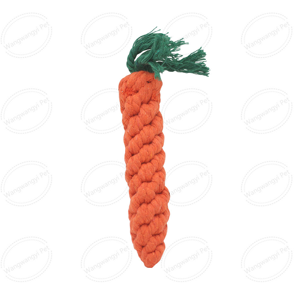 [6] Carrot