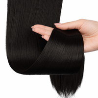 Extensions de cheveux lisses et soyeux, double épaisseur, teintes, à clipser, queue de cheval, à enrouler