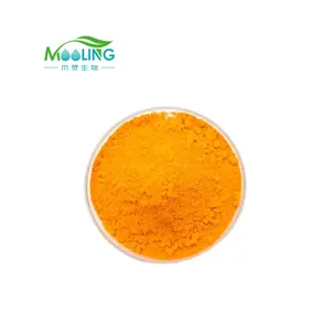 High Quality Natural Curcumin 95% Turmeric Powder Extract Turmeric Powder