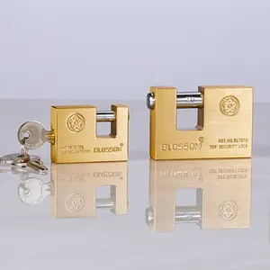 BL70 50毫米花开锁质量卓越重型定制标志主钥匙安全可靠的矩形黄铜挂锁