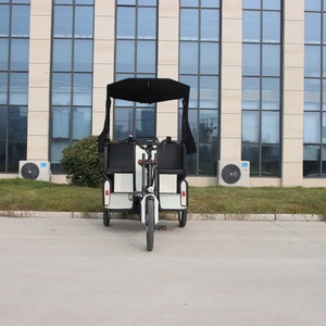 2025 passagers voyageant Tricycle électrique adulte trois roues location Cargo Taxi vélo <span class=keywords><strong>voiture</strong></span> <span class=keywords><strong>de</strong></span> <span class=keywords><strong>mariage</strong></span> - Product Image 4