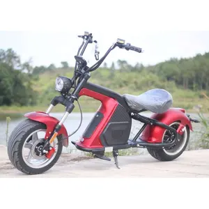 Europa Magazijn Nieuwe Model M8 2000W Krachtige Citycoco Volwassen Elektrische Motorfiets