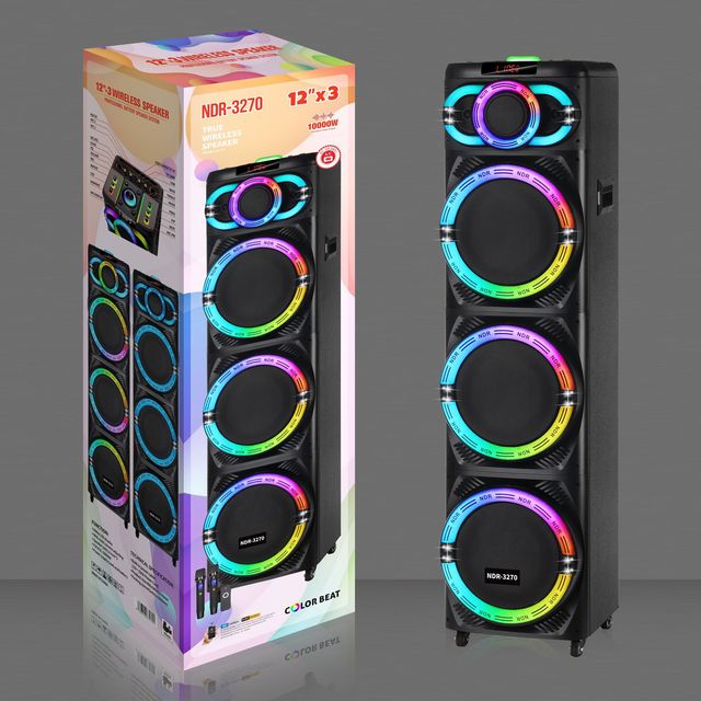 RAYSOUNDS NDR-3270 3*12 Inch Karaoke 12V14AH Battery Powered Waterproof Wooden Sound Trolley Speaker Remote Control for Square